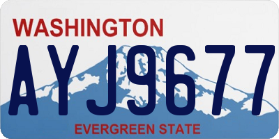 WA license plate AYJ9677