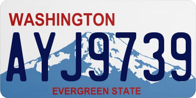 WA license plate AYJ9739