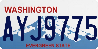 WA license plate AYJ9775