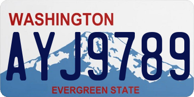 WA license plate AYJ9789