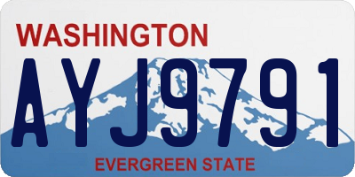 WA license plate AYJ9791