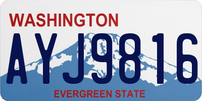 WA license plate AYJ9816