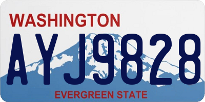 WA license plate AYJ9828