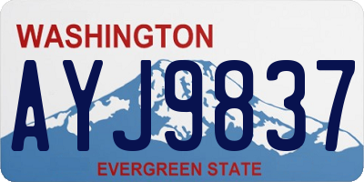 WA license plate AYJ9837