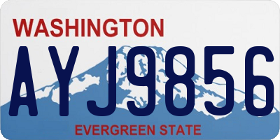 WA license plate AYJ9856