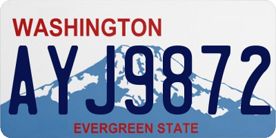 WA license plate AYJ9872