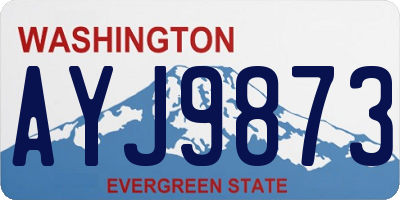 WA license plate AYJ9873