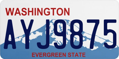 WA license plate AYJ9875