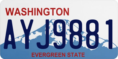 WA license plate AYJ9881