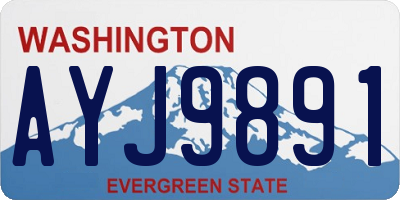 WA license plate AYJ9891