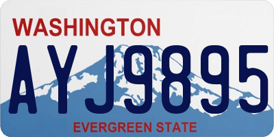 WA license plate AYJ9895