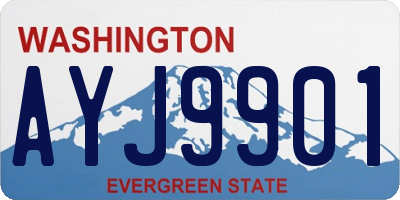 WA license plate AYJ9901