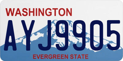 WA license plate AYJ9905