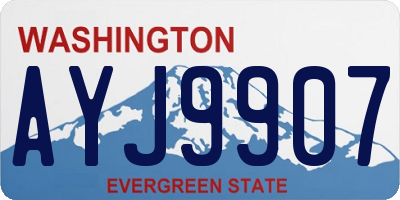 WA license plate AYJ9907