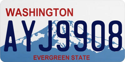 WA license plate AYJ9908