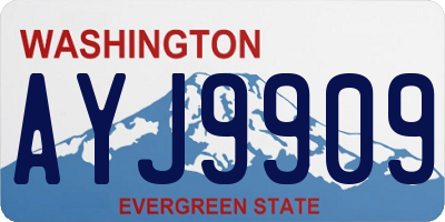 WA license plate AYJ9909
