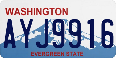 WA license plate AYJ9916