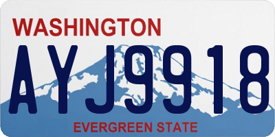 WA license plate AYJ9918