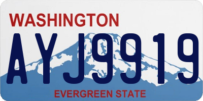 WA license plate AYJ9919