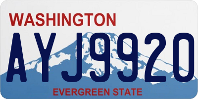 WA license plate AYJ9920