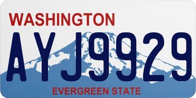 WA license plate AYJ9929