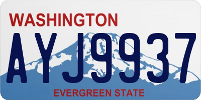 WA license plate AYJ9937