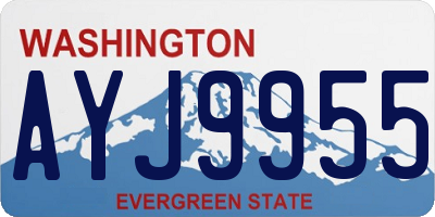 WA license plate AYJ9955