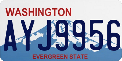 WA license plate AYJ9956
