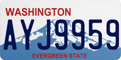 WA license plate AYJ9959