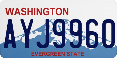 WA license plate AYJ9960
