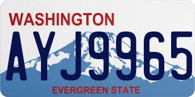 WA license plate AYJ9965