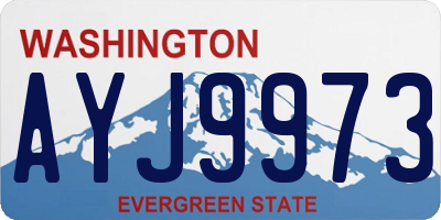 WA license plate AYJ9973