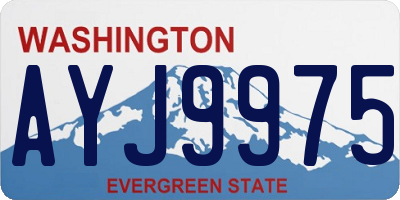 WA license plate AYJ9975