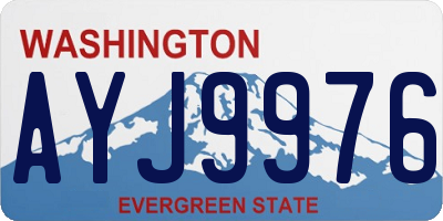 WA license plate AYJ9976
