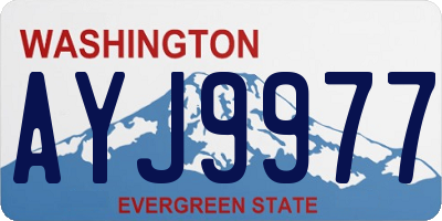 WA license plate AYJ9977