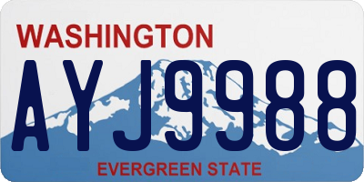 WA license plate AYJ9988