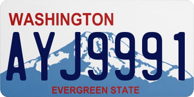 WA license plate AYJ9991