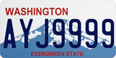 WA license plate AYJ9999