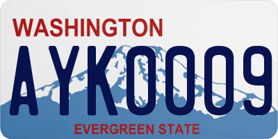 WA license plate AYK0009