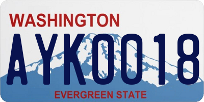WA license plate AYK0018