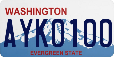 WA license plate AYK0100