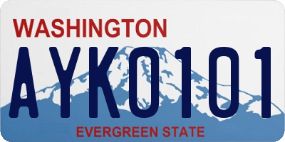 WA license plate AYK0101