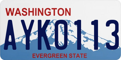 WA license plate AYK0113