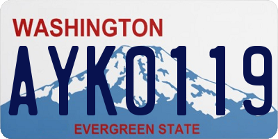 WA license plate AYK0119
