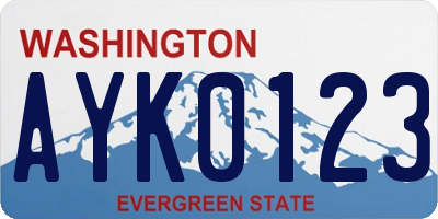 WA license plate AYK0123
