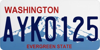 WA license plate AYK0125