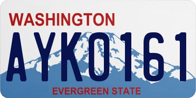 WA license plate AYK0161