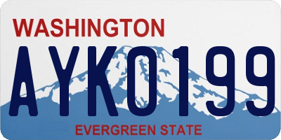 WA license plate AYK0199
