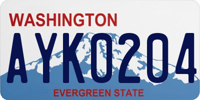 WA license plate AYK0204