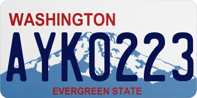 WA license plate AYK0223